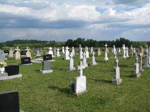 Cemetery View 2.jpg